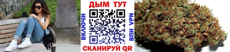 Названия наркотиков Бежецк Псилоцибиновые грибы Амфетамин Гашиш Бошки Шишки