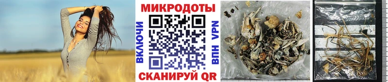 Псилоцибиновые грибы GOLDEN TEACHER  мега tor  Бежецк  закладка 
